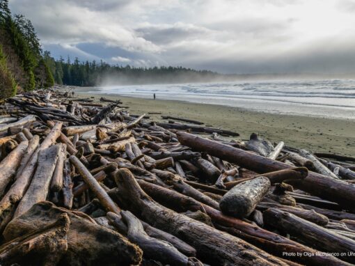 Tofino Tourism Master Plan