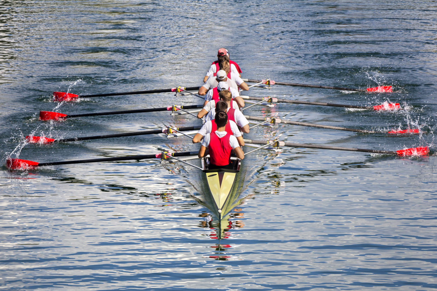 rowers in boat on water