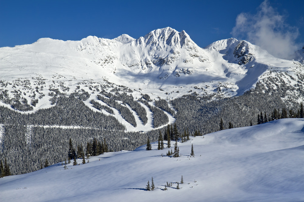 Whistler 2020